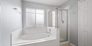 11927 RANCHWELL COVE Gallery 20