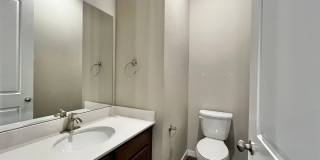 Mangold831 (KC-LN) Gallery 20