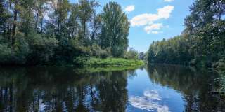 Ivorywood Gallery 28