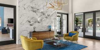 Sierra Foothills Gallery 13