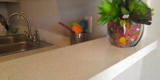 Point on Redmond Gallery 11