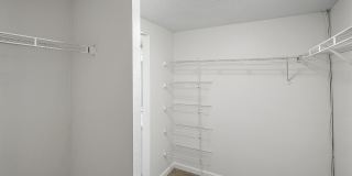The Avenues Gallery 22