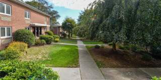 250 Oak 250 Oak Gallery 1
