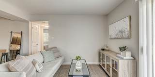 Oasis Gallery 7