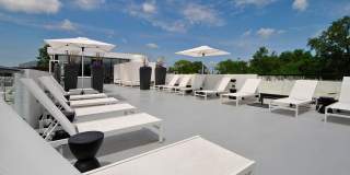 The Harrison Gallery 36