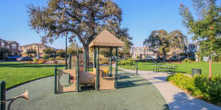 Beautiful and Spacious 3BR 2.5BA Single Family Home Gallery 22