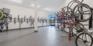The Guild Gallery 29