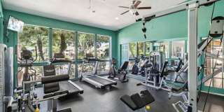 Lakeside Gardens Gallery 17