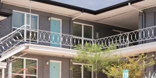 River Oaks Gallery 137