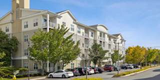 Sofi Danvers Gallery 43