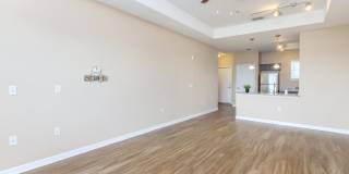 Fountain Lake Bradenton Gallery 57