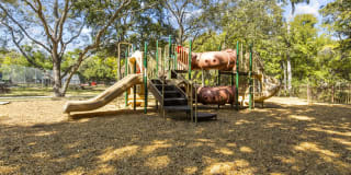 Maxwell Townhomes Gallery 28