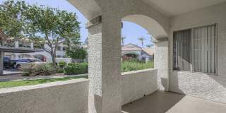 Springs at Alta Mesa Gallery 101