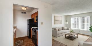 Golden Crest Gallery 1