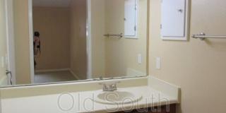 3320 Pine Forest Road Gallery 4