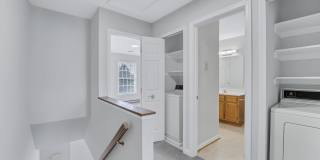 Linden At Elmtree Gallery 6