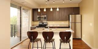 The Elysian Gallery 669