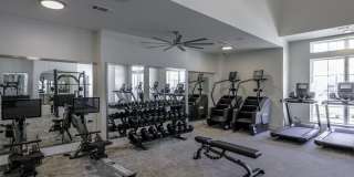 Modera Walsh Gallery 12