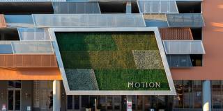 Motion at Dadeland Gallery 32