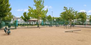 Jenna Village Gallery 17