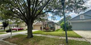 705 STRAW LAKE DRIVE Gallery 25