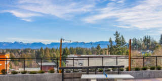 SKY Sammamish Gallery 15