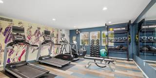 ReNew West Bloomington Gallery 28