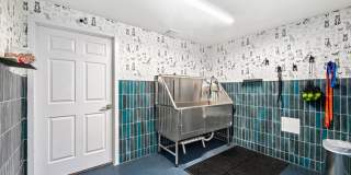Finn Gallery 7
