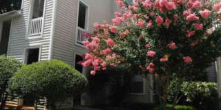 Room in 2 Bedroom Home at Sunpointe Dr Gallery 8