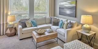 The Lodge Gallery 30