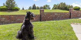 Camden Caley Gallery 26