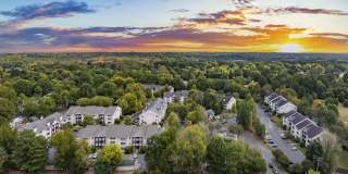 Hollis 7601 Gallery 34