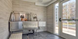 Smith's Landing Gallery 18