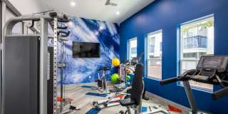 Stadium 700 Gallery 22