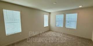 109 Clownfish Street Gallery 10