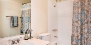 Elán Avante Apartment Homes Gallery 32