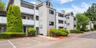 Mountain Meadows Gallery 33