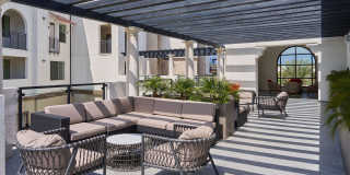 Vineyards Gallery 46