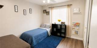 27841 Siruela Gallery 8