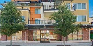 Ondine at Juanita Bay Gallery 37