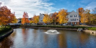 The Mercer at Lawrence Station Gallery 17