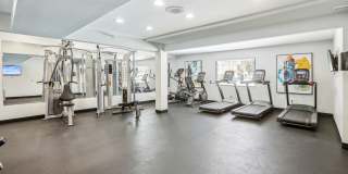 Tuscany Gardens Gallery 21