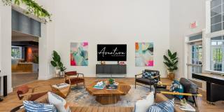 Aventura at Oak Mountain Gallery 20