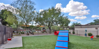 Kota North Scottsdale Gallery 23
