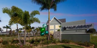 Palm Grove Gallery 5