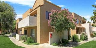 Park Sierra Gallery 90