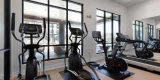 Cavalli at Iron Horse Station Gallery 19