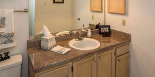 The Versailles Gallery 18