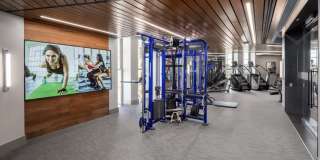 The Octagon The Octagon Gallery 46