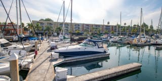 Harborside Marina Bay Gallery 26